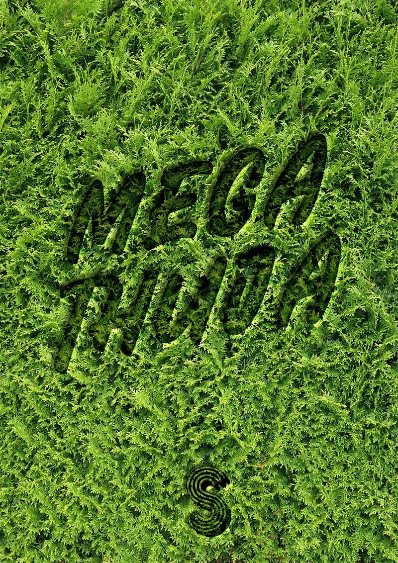 Mega Thuja Poster